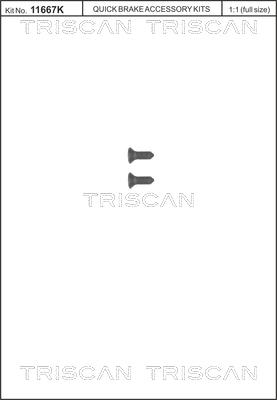 Triscan 8105 116008 - Ruuvisarja, jarrulevy parts5.com