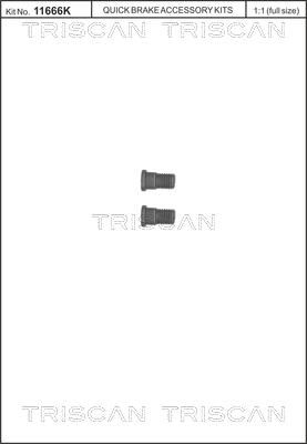 Triscan 8105 116007 - Set surub, disc frana parts5.com