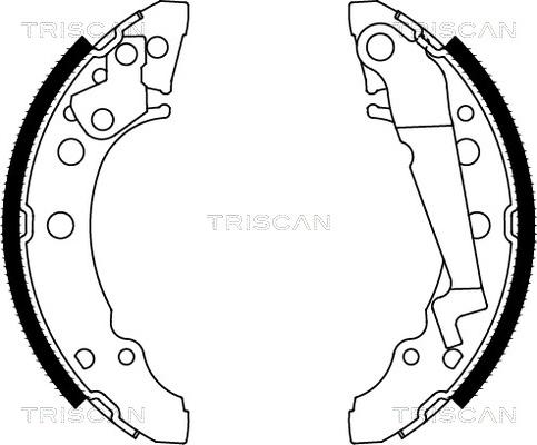 Triscan 8100 29001 - Juego de zapatas de frenos parts5.com