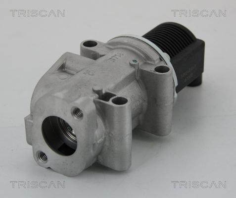 Triscan 8813 15032 - EGR Valve parts5.com