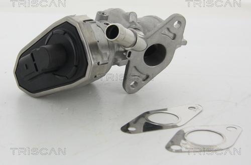 Triscan 8813 16100 - Vanne EGR parts5.com