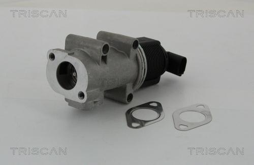 Triscan 8813 10005 - EGR Valve parts5.com