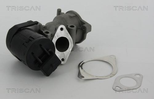 Triscan 8813 10001 - EGR Valve parts5.com