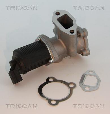 Triscan 8813 10003 - EGR Valve parts5.com