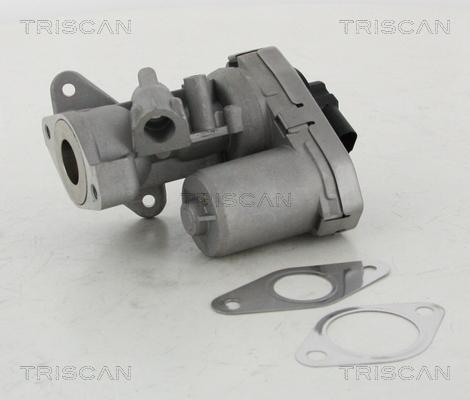 Triscan 8813 10002 - Válvula EGR parts5.com