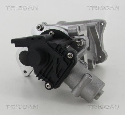 Triscan 8813 10007 - EGR Valve parts5.com