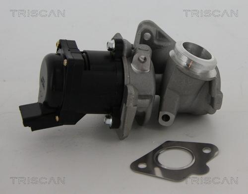 Triscan 8813 10010 - Клапан возврата ОГ parts5.com