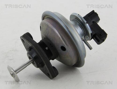 Triscan 8813 11002 - Supapa EGR parts5.com