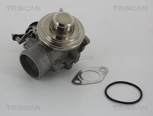 Triscan 8813 29001 - Ventil povratnih izpusnih plinov parts5.com