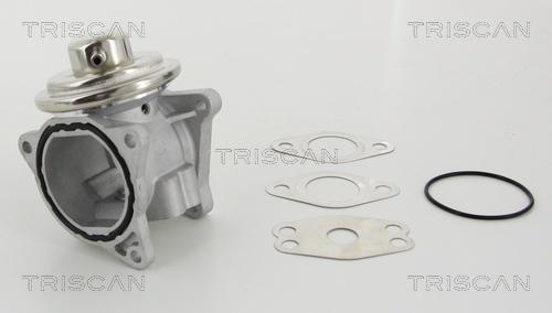 Triscan 8813 29111 - Válvula EGR parts5.com