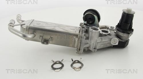 Triscan 8813 29325 - EGR Valve parts5.com