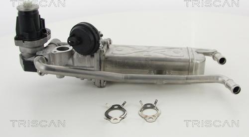 Triscan 8813 29325 - EGR Valve parts5.com