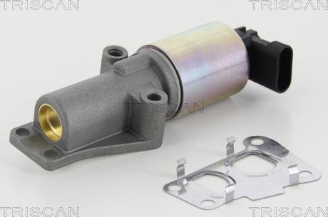 Triscan 8813 24010 - Supapa EGR parts5.com