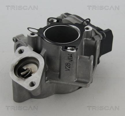 Triscan 8813 24039 - Supapa EGR parts5.com