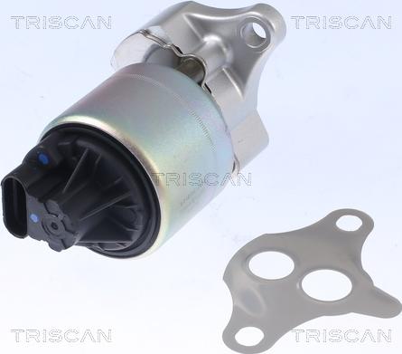 Triscan 8813 21001 - Válvula EGR parts5.com