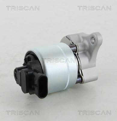 Triscan 8813 28008 - AGR-szelep parts5.com