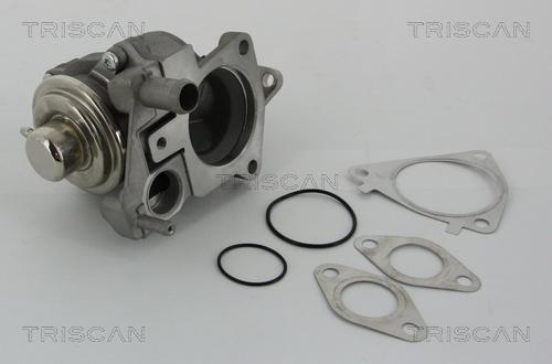 Triscan 8813 28019 - Zawór AGR parts5.com