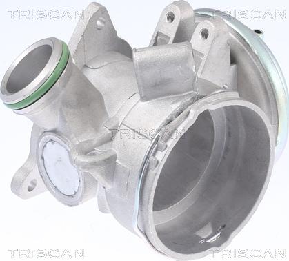 Triscan 8813 23032 - AGR-szelep parts5.com