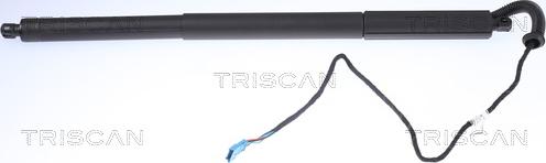 Triscan 8710 11306 - Amortizor portbagaj parts5.com