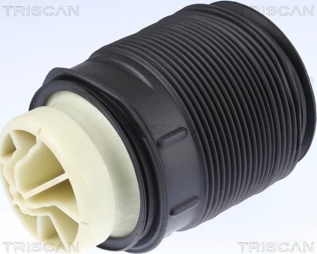 Triscan 8720 23201 - Havalı süspansiyon, yürüyüş takımı parts5.com