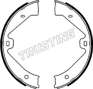 Trusting 124.289 - Brake Shoe Set, parking brake parts5.com