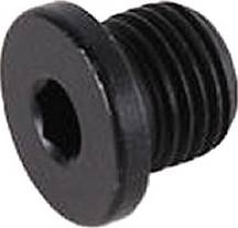 VAG N 016 027 6 - Sealing Plug, oil sump parts5.com