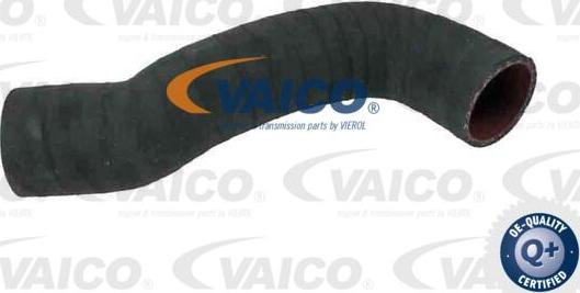 VAICO V95-0351 - Hadička plnicího vzduchu parts5.com