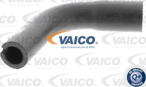 VAICO V40-1991 - Furtun,aerisire bloc motor parts5.com