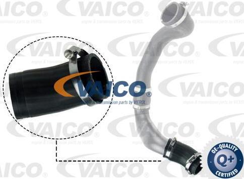 VAICO V48-0186 - Furtun ear supraalimentare parts5.com