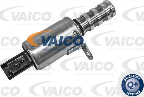 VAICO V42-0629 - Control Valve, camshaft adjustment parts5.com