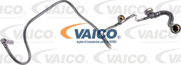 VAICO V42-0800 - Hose, crankcase breather parts5.com