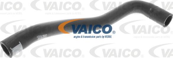 VAICO V10-4985 - Crijevo hladnjaka parts5.com