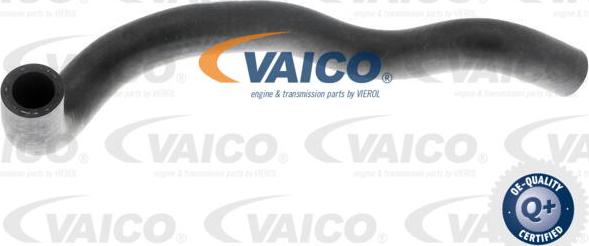 VAICO V10-4653 - Radiator Hose parts5.com