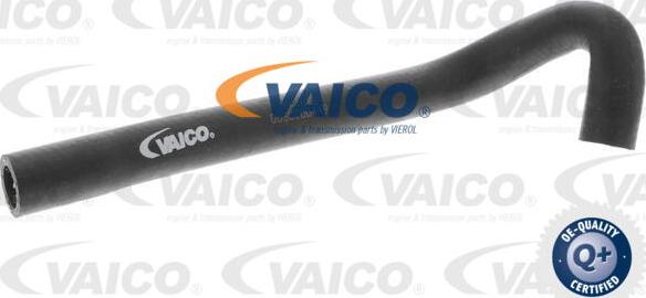 VAICO V10-4673 - Furtun radiator parts5.com