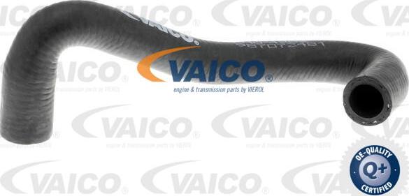 VAICO V10-4282 - Furtun radiator parts5.com