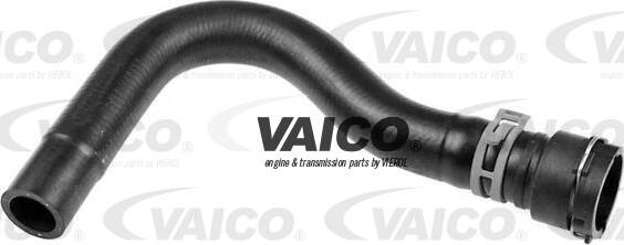 VAICO V10-5535 - Crevo hladnjaka parts5.com