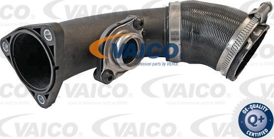 VAICO V10-6737 - Przewód powietrza doładowującego parts5.com