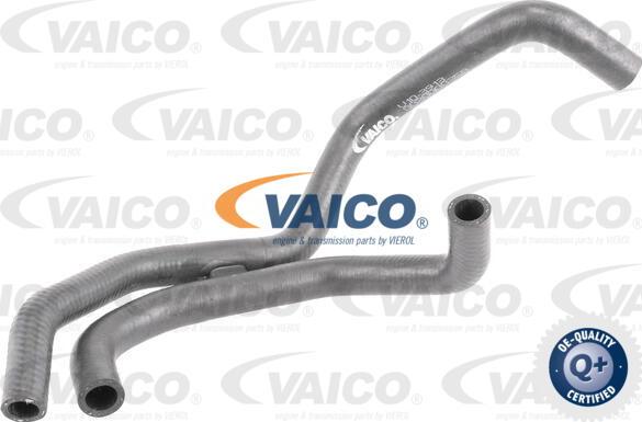 VAICO V10-3913 - Gibka cev hladilnika parts5.com