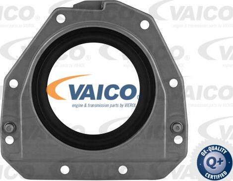 VAICO V10-3685 - Brtveni prsten vratila, koljenasto vratilo parts5.com