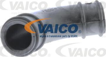 VAICO V10-3113 - Шланг, вентиляция картера parts5.com