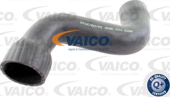 VAICO V10-3826 - Furtun ear supraalimentare parts5.com