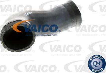 VAICO V10-2924 - Przewód powietrza doładowującego parts5.com