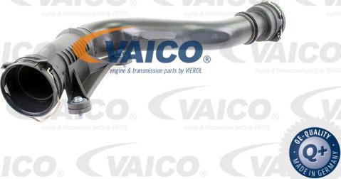 VAICO V10-2506 - Sací trubka, přívod vzduchu parts5.com