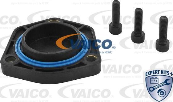 VAICO V10-2638 - Tesnenie olejového zberača parts5.com