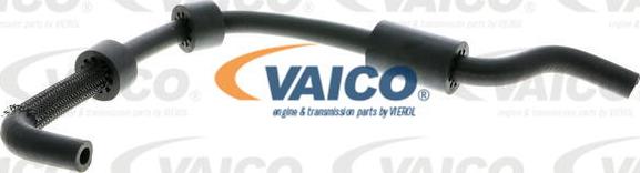 VAICO V10-2800 - Hadice chladiče parts5.com