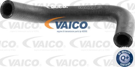 VAICO V10-2814 - Crevo hladnjaka parts5.com