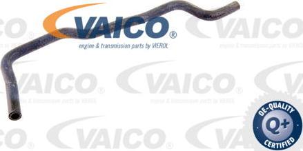 VAICO V10-2815 - Radiator Hose parts5.com