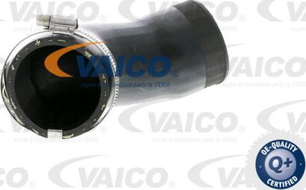 VAICO V10-2831 - Furtun ear supraalimentare parts5.com