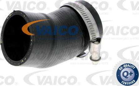 VAICO V10-2828 - Charger Intake Air Hose parts5.com