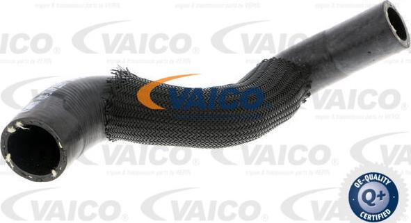 VAICO V30-3149 - Furtun radiator parts5.com